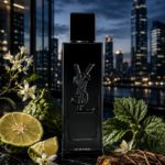 MYSLF EDP