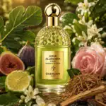 AQUA ALLEGORIA FORTE NEROLIA VETIVER